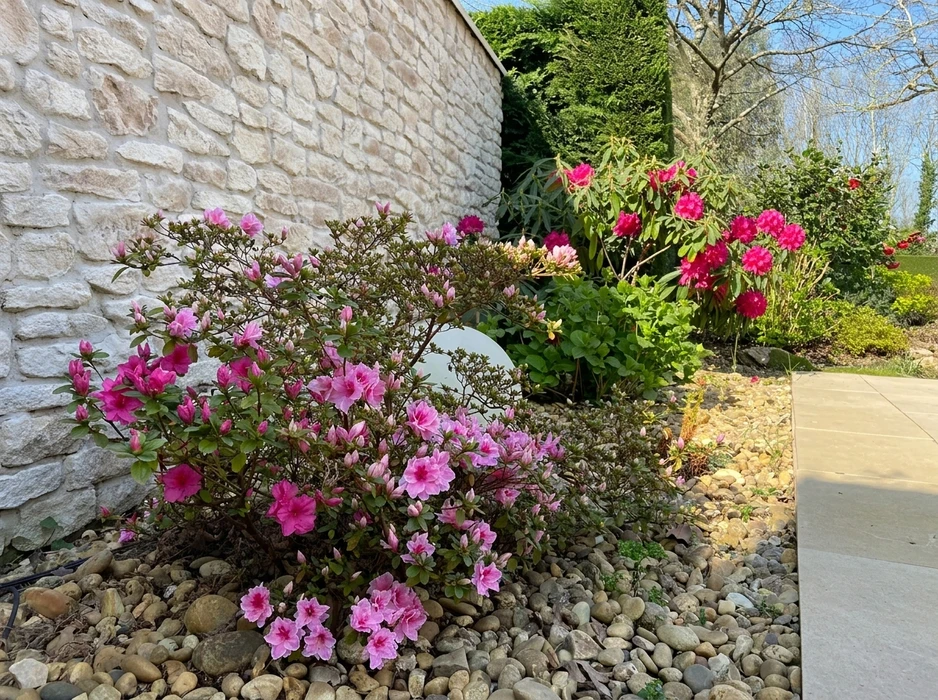 Jardin paysager extérieur, massif fleuri en bordure d'un mur en pierre calcaire blanche