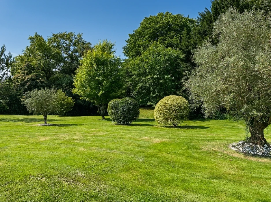 Jardin paysager soigné par beau temps, vaste pelouse tondue, arbustes taillés en boules (buis ou troènes), arbres ornementaux dont un olivier mature bordé de galets blancs