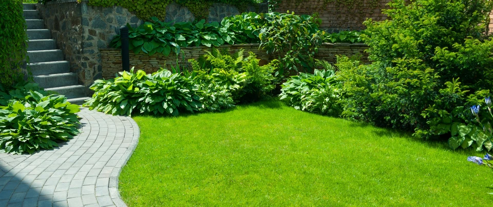 Jardin paysager extérieur avec pelouse verte parfaitement entretenue, bordée de massifs de vivaces et arbustes