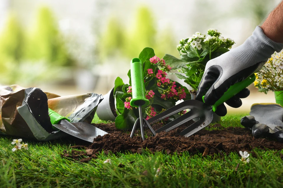 Un jardinier professionnel façonnant des arbustes verts avec des ciseaux de jardin pendant les travaux d'entretien du paysage