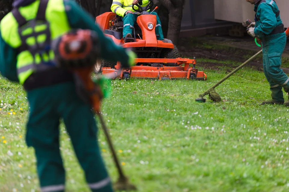 Aménagement paysager résidentiel avec massifs fleuris en bordure d'escalier extérieur