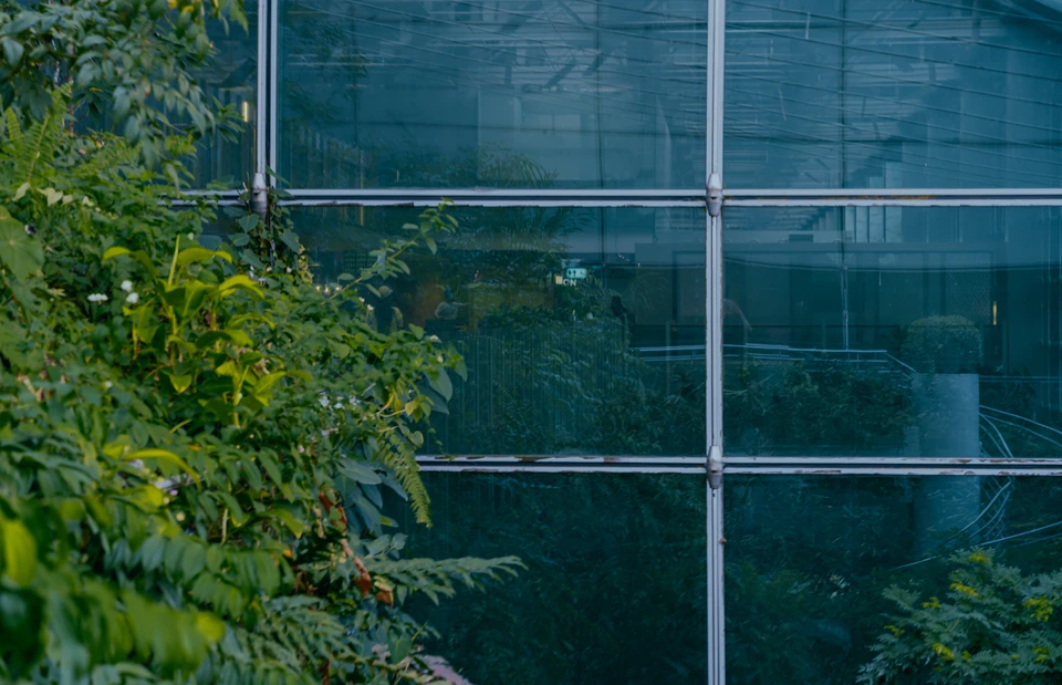 Scène extérieure de jardinage professionnel avec homme utilisant une tondeuse autoportée orange sur pelouse verte entretenue