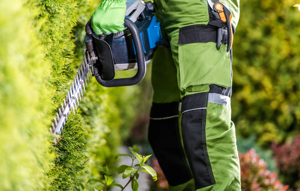 Scène extérieure dans un jardin avec broyeur à végétaux motorisé en fonctionnement