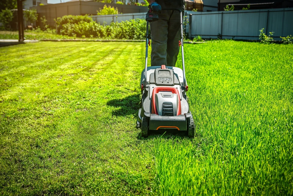 Scène extérieure de jardinage professionnel avec homme utilisant une tondeuse autoportée orange sur pelouse verte entretenue