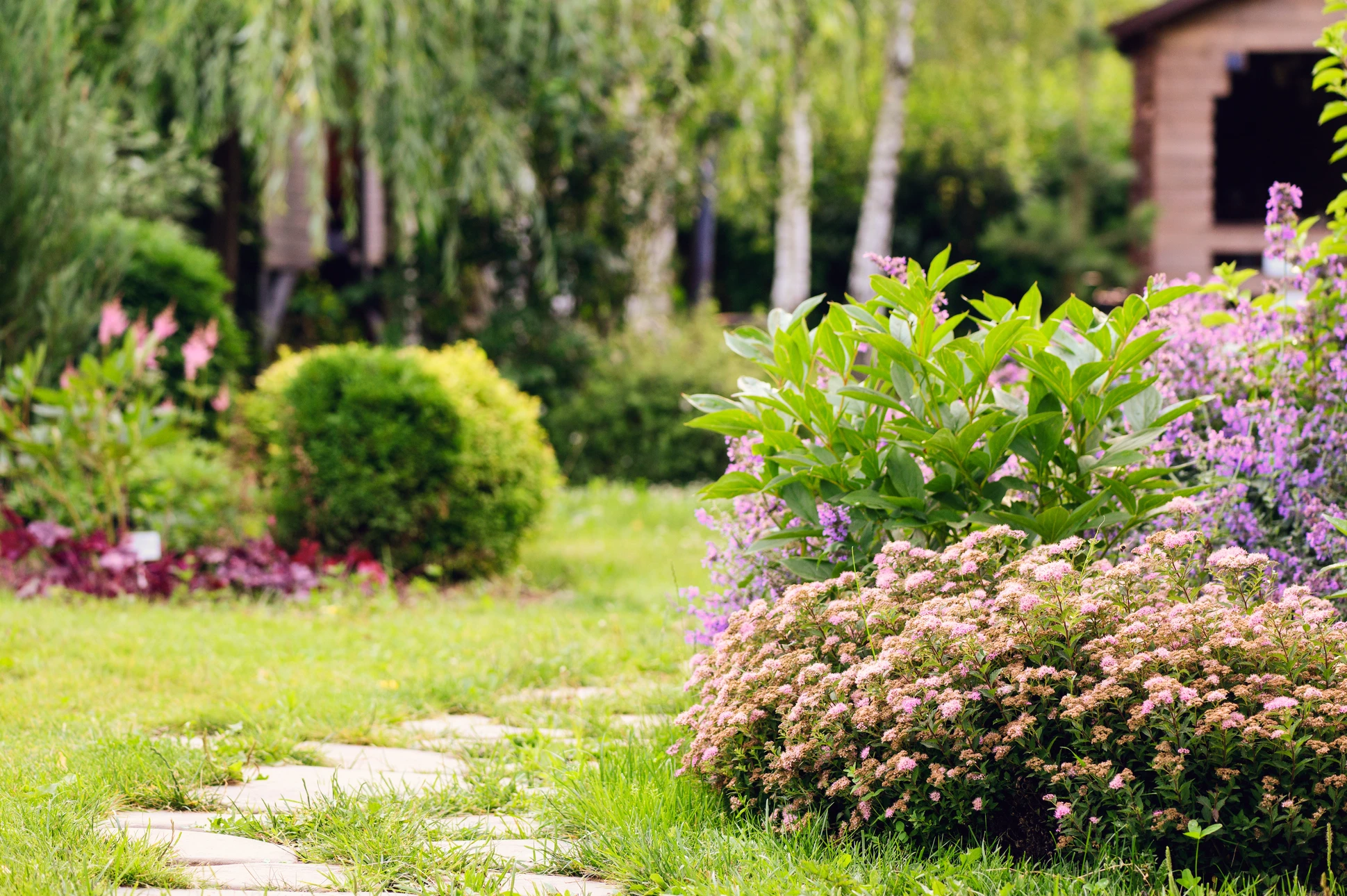 Jardin paysager extérieur avec massif rocheux aménagé, pelouse entretenue, plantation mixte de vivaces et arbustes